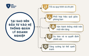 Tại sao nên đầu tư vào hệ thống quản lý doanh nghiệp?