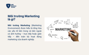 Môi trường Marketing là gì?