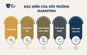 Đặc điểm của môi trường Marketing