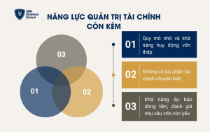 Năng lực quản trị tài chính còn kém
