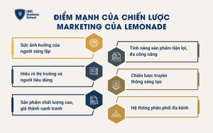 Điểm mạnh của chiến lược Marketing của Lemonade