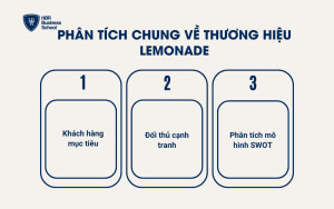 Phân tích chung về thương hiệu Lemonade