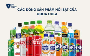 Các dòng sản phẩm phổ biến của Coca Cola
