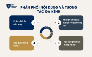 Phân phối nội dung và tương tác đa kênh