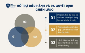 Hỗ trợ điều hành và ra quyết định chiến lược