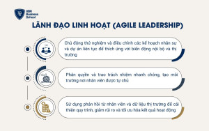 Lãnh đạo linh hoạt (Agile Leadership)