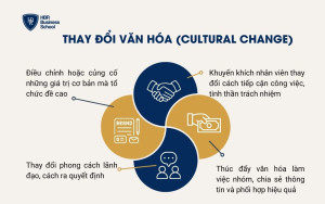 Thay đổi văn hóa (Cultural Change)