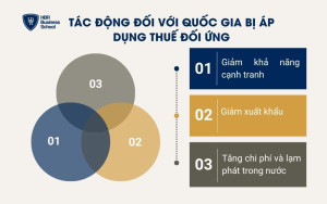 Tác động đối với quốc gia bị áp dụng thuế đối ứng