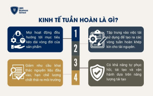 Kinh tế tuần hoàn là gì?