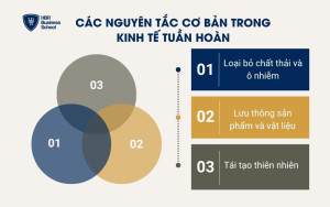 Các nguyên tắc cơ bản trong kinh tế tuần hoàn