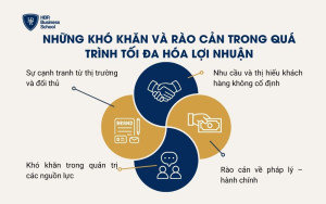 Những khó khăn và rào cản trong quá trình tối đa hóa lợi nhuận