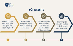 Lỗi website