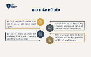 Thu thập dữ liệu