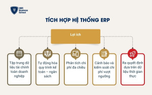 Tích hợp hệ thống ERP