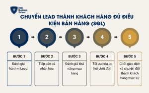 Chuyển Lead thành khách hàng đủ điều kiện bán hàng (SQL)