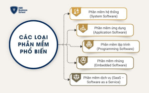 Các loại phần mềm phổ biến