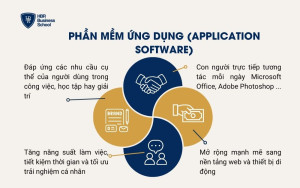 Phần mềm ứng dụng (Application Software)