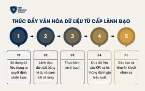 Thúc đẩy văn hóa dữ liệu từ cấp lãnh đạo