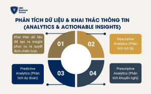 Phân tích dữ liệu & khai thác thông tin (Analytics & Actionable Insights)