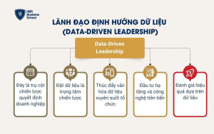 Lãnh đạo định hướng dữ liệu (Data-Driven Leadership)