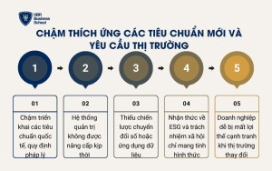 Chậm thích ứng các tiêu chuẩn mới và yêu cầu thị trường