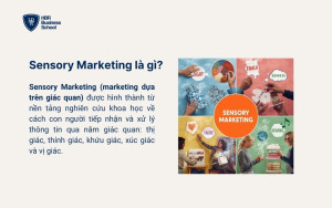 Sensory Marketing là gì?