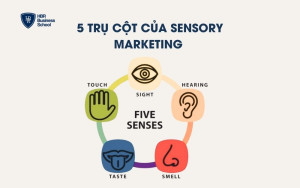 5 trụ cột của Sensory Marketing