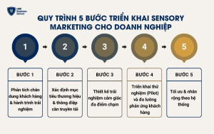 Quy trình 5 bước triển khai Sensory Marketing cho doanh nghiệp