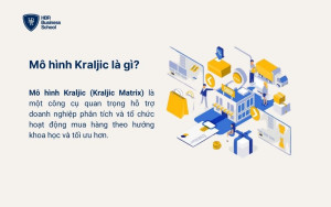 Mô hình Kraljic là gì?