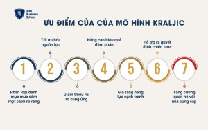 Ưu điểm của của mô hình Kraljic