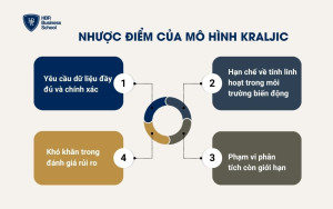 Nhược điểm của mô hình Kraljic