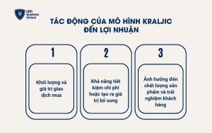 Tác động của mô hình Kraljic đến lợi nhuận