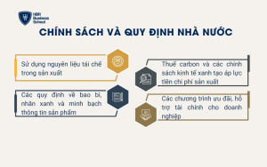 Chính sách và quy định nhà nước