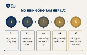 Mô hình đồng tâm hiệp lực