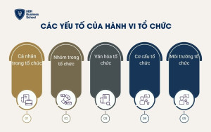 Các yếu tố của hành vi tổ chức