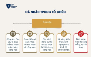 Cá nhân trong tổ chức