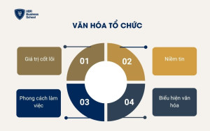 Văn hóa tổ chức