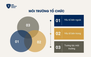 Môi trường tổ chức