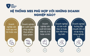 Hệ thống Mes phù hợp với những doanh nghiệp nào?