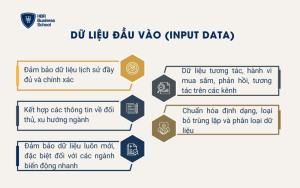 Dữ liệu đầu vào (Input Data)