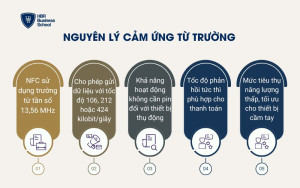 Nguyên lý cảm ứng từ trường