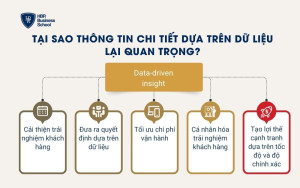 Tại sao thông tin chi tiết dựa trên dữ liệu lại quan trọng?