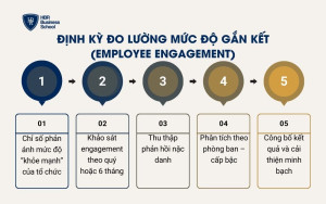 Định kỳ đo lường mức độ gắn kết (employee engagement)