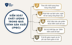 Kiểm soát chất lượng trong quá trình sản xuất (IPQC)