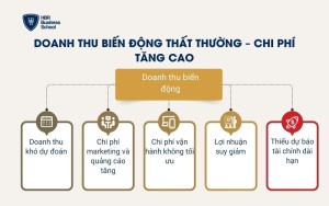 Doanh thu biến động thất thường – chi phí tăng cao