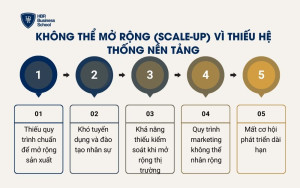 Không thể mở rộng (scale-up) vì thiếu hệ thống nền tảng