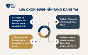 Lựa chọn đúng nền tảng đăng tải