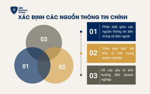 Xác định các nguồn thông tin chính