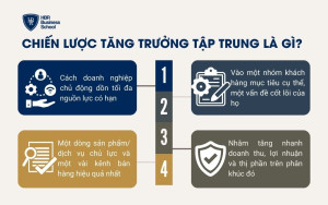 Chiến lược tăng trưởng tập trung là gì?