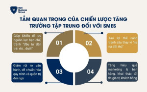 Tầm quan trọng của chiến lược tăng trưởng tập trung đối với SMEs